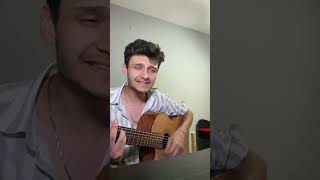 Sezen Aksu Kurşuni Renkler Cover [upl. by Pliner798]