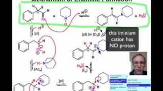 Imine and Enamine Formation [upl. by Yekcim]