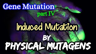 Induced Mutation by Radiation  Physical Mutagens  Gene Mutation [upl. by Meehar]