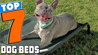 7 Best Dog Beds Comfort and Style for Every Dog [upl. by Atinaw879]