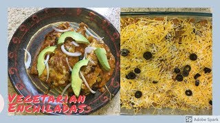 Easy Flavorful Vegetarian Enchiladas [upl. by Panayiotis]