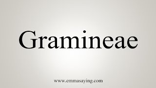 How To Say Gramineae [upl. by Mccarthy11]