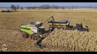 2019 Illinois Corn Harvest with On Track Farming Inc [upl. by Ydnis813]