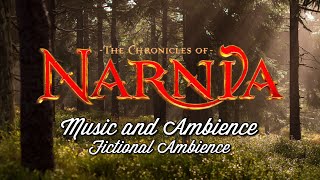 The Chronicles of Narnia Music amp Ambience  Forest Sounds with Movie Soundtrack •ASMR• 1h [upl. by Ydak]