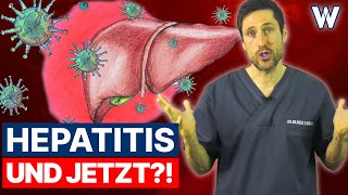 Leberentzündung gefährlich Hepatitis Typen AE und die Ursachen Symptome amp gesundheitlichen Folgen [upl. by Fahey921]