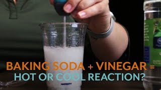 Vinegar and Baking Soda Reaction Heat Up or Cool Down [upl. by Asyram777]