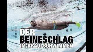 Kraulschwimmen Warum Beineschwimm Sets wichtig sind  SWIMAZING UNIVERSITY [upl. by Nevsa]