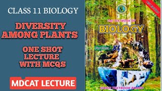 DIVERSITY AMONG PLANTS ONE SHOT PART 22  MCQS ALSO EXPLAINED  DOCTORS STOP BIOLOGY [upl. by Iharas315]