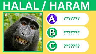 Islamic Quiz 🕌  Haram or Halal Animals To Eat  no music [upl. by Eirrok]