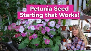 Petunia Seed Starting that Works [upl. by Pasia]