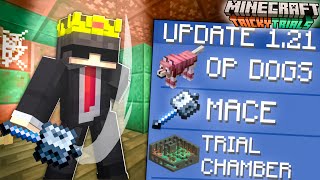 This is The Best Update Minecraft 121 [upl. by Penelope304]