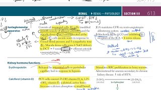 Juxtaglomerular apparatus from Firstaid step 1USMLE Explained in detail URDU HINDI [upl. by Hannus]