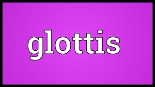 Glottis Meaning [upl. by Nueormahc286]