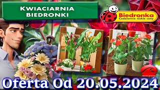 𝐁𝐈𝐄𝐃𝐑𝐎𝐍𝐊𝐀🐞Kwiaciarnia Biedronki Nowa Oferta Od 20052024 Kwiatowe Inspiracje Biedronki Tanie Kwiaty [upl. by Eiramyelhsa727]