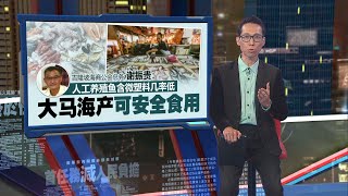 全球微塑料摄取量 研究：大马排名第一！  新闻报报看 06062024 [upl. by Ellinej]