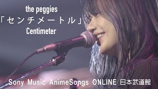 the peggies「センチメートル」Sony Music AnimeSongs ONLINE武道館 [upl. by Ettennej]