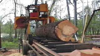 LogMaster sawmill cutting a Pine log [upl. by Emersen142]