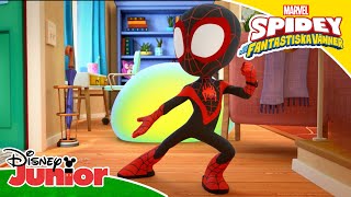 🧪När experimentet går fel  Spidey och hans fantastiska vänner  Disney Junior Sverige [upl. by Acirt]