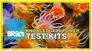 Week 34 BEST reef tank parameters and our favorite test kits  52 Weeks of Reefing [upl. by Eelydnarb]