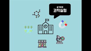 방울토마토로 용액의 진하기 비교하기 [upl. by Hilaria113]