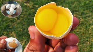 Double Yolk Eggs  Dr ARSHAD [upl. by Nnednarb]