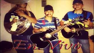 El Ingeniero  Ariel Camacho Y Los Plebes Del Rancho En Vivo [upl. by Yblocaj]