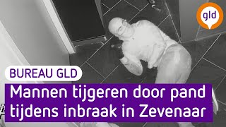 Mannen tijgeren door pand tijdens inbraak  Bureau GLD [upl. by Portwine576]