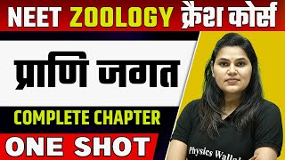 ANIMAL KINGDOM in 1 Shot  हिन्दी माध्यम  Complete Chapter  प्राणि जगत [upl. by Schnorr]