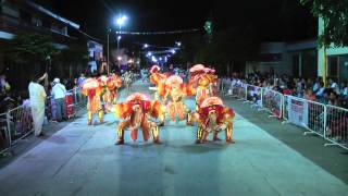 Angeles de la Saya 2015  Celestiales e Infernales  oran  salta [upl. by Redleh]