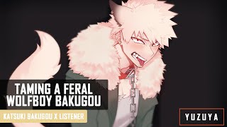 Taming A Feral Wolfboy Bakugou ASMR  Katsuki Bakugou x Listener [upl. by Belden]