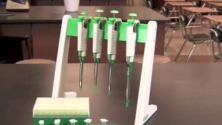 How To Use A Micropipet [upl. by Eanert]