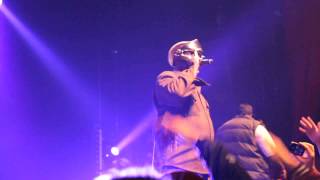 MF Doom  Accordion LIVE bataclan 2014 [upl. by Burner248]