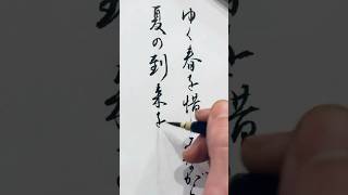 【美文字トレーニング】手紙の書き方 美文字 手紙 書道 calligraphyart japanesecalligraphy [upl. by Damiani]