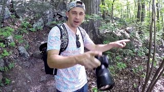 BEAR ENCOUNTER ON APPALACHIAN TRAIL [upl. by Gauthier]