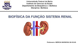 Biofísica da função renal parte 1 FSR TFG e seu controle [upl. by Poole30]