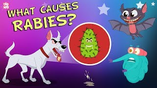 What Causes Rabies  The Dr Binocs Show  Best Learning Videos For Kids  Peekaboo Kidz [upl. by Gnoud]