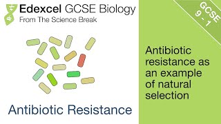 Edexcel GCSE Biology  Antibiotic Resistance and Natural Selection [upl. by Soirtimid]