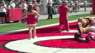 Ohio mascot attacks Ohio State mascot [upl. by Wall]