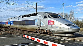 Compilation  Trains SNCF TGV TER Intercités OUIGO autour du Mans [upl. by Nosnej]