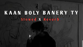 Kaa Bole Banere Te Slowed and Reverb [upl. by Dewey]