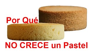 Por Qué NO CRECE una Torta  Causas y Soluciones │Club de Repostería [upl. by Bathulda]