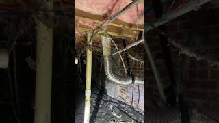 WHAT FLEX HOSE DOES TO A dryervent shorts shortvideo viral viralshorts [upl. by Troth]