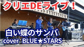 20231119クリエでライブ！「白い蝶のサンバ」カバーBLUE STARS [upl. by Chien]