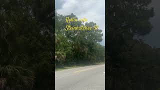 Rolling into Steinhatchee Fl [upl. by Justin141]