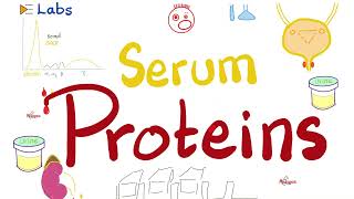 Albumin amp Globulins Alpha Beta amp Gamma  Plasma Proteins and Electrophoresis  Labs [upl. by Dyol]