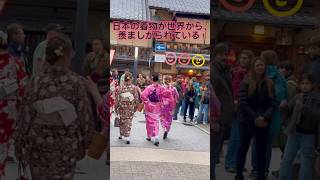 なんて美しい舞妓さん👘Maiko Gion🇯🇵Japan [upl. by Nikolaus]