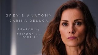 Stefania in Greys Anatomy S14E02 pt1 as Carina DeLuca [upl. by Aihsekyw]