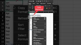 Como agrupar trimestres en tus tablas dinámicas en Excel desde nuestro equipo Mac [upl. by Yelrehs]