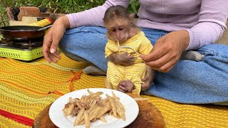 Today touch monkey is sitting watching his mom cook so sweet [upl. by Dnumyar543]