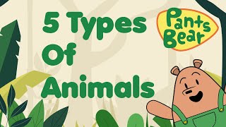 Animal classification for Kids  Mammals Birds Reptiles Amphibians amp Fish  Animal Groups [upl. by Ainnet]